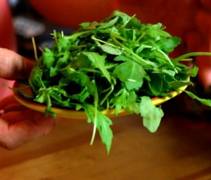 Arugula