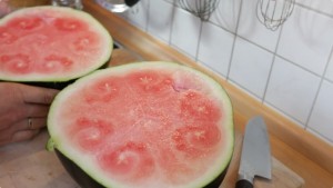 Watermelon Half