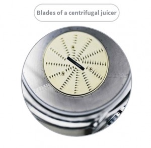 These are the blades of a centrifugal juicer (Breville)