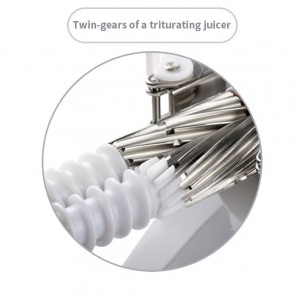 These are the auger of a classic twin gear juicer (triturating)