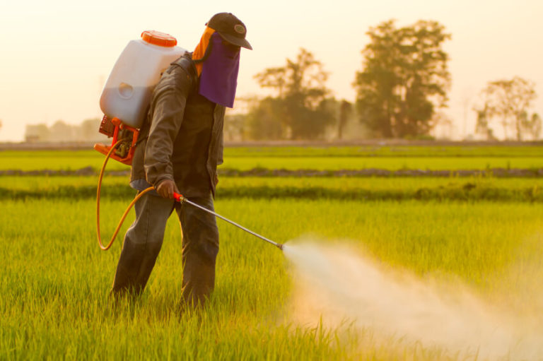 Organic Produce Pesticides